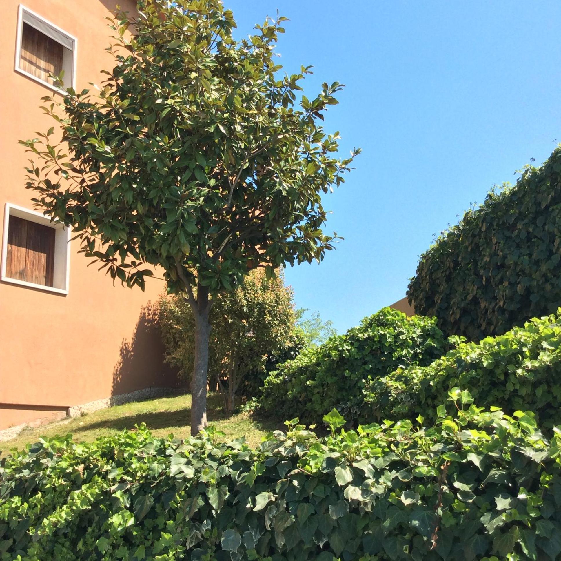 Appartamento Filippo Castelnuovo del Garda Zewnętrze zdjęcie